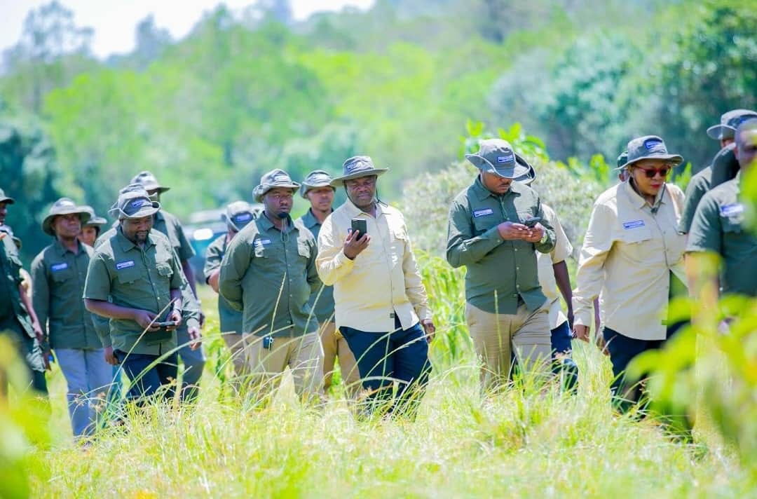 Hiking support in the field